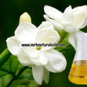 Jasmine Grandiflorum floral essential oil
