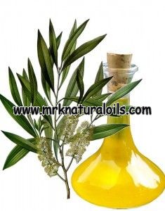 Cajuput Essential oil