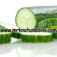 Cucumber Carrier Oil