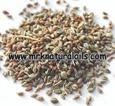 Ajowan Seed Oleoresins