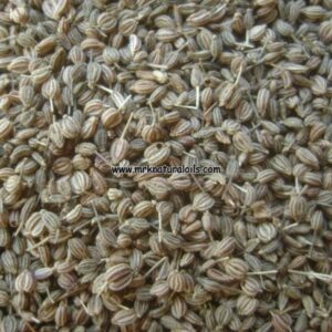 Ajowan Essential Oil