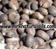 Ambrette Seed Floral Absolute Oil