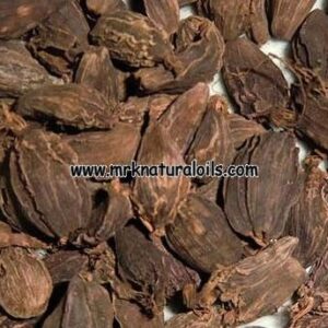 Cardamom (Big) Oleoresins