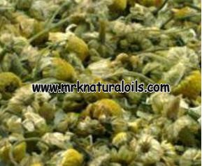 Chamomile German Hydrosol