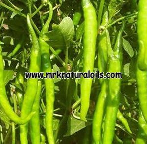 Green Chili (3.3% capsaicin) Oleoresins