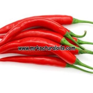 Chilli Seed Essential Oil