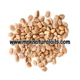 Chironji Carrier Oil