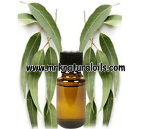 Citriodora Essential Oil