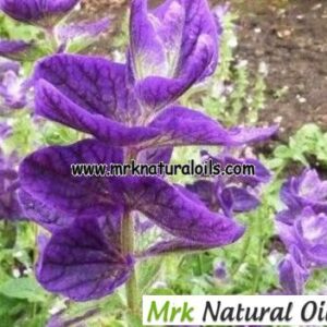 Clary Sage Hydrosol