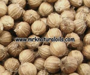 Coriander Oleoresins