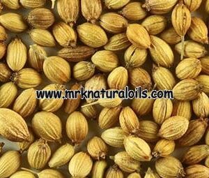 Coriander (Roasted) Oleoresins