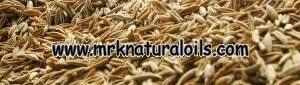 Cumin Oleoresins