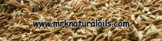 cumin_oleoresins
