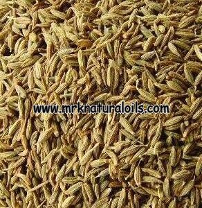 Cumin seed Oleoresins