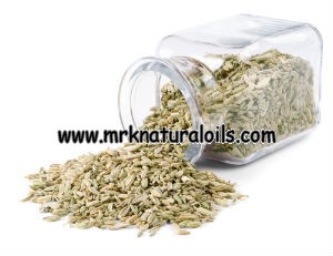 Fennel Sweet Essential Oil