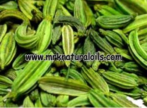 Fennel seed Oleoresins