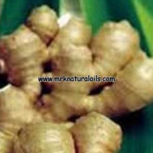 Green Ginger Oleoresins