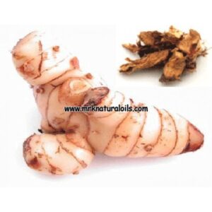 Galangal Essential oil