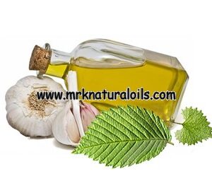 Garlic Natural Essential Oil
