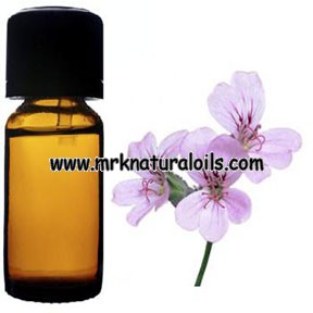 Rose Geranium Essential Oil