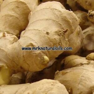 Ginger Oleoresins