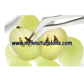 Grape Seed Oil