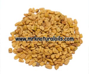 Fenugreek Essential oil