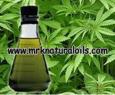 Hemp Seed Carrier Oil