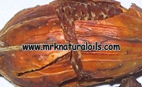 Jasmine Grandiflorum Floral Absolute Oil