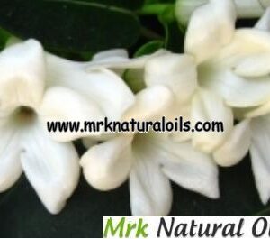 Jasmine Sambac Hydrosol