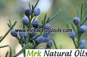 Juniper Berry Hydrosol