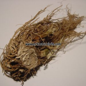Valerian Root Essential Oil
