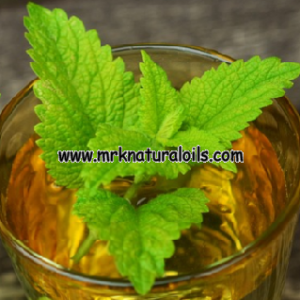 Melissa Leaf 3% Dilution in Jojoba Oil