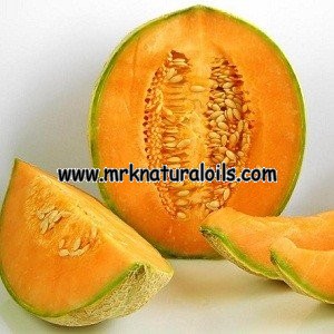 Muskmelon Carrier Oil