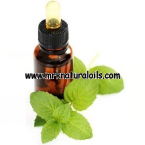 Basil Essential Oil