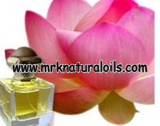 Pink Lotus Attar