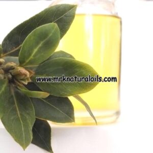Bay Leaf Essential Oil