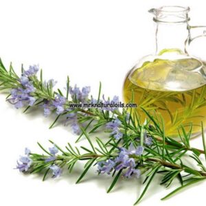 Rosemary Essential Oil