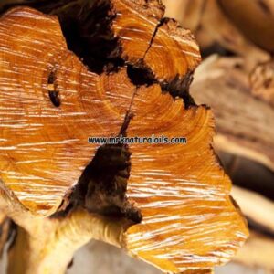 Rosewood Essential Oil