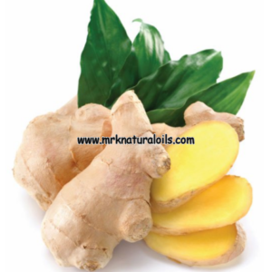 Ginger Natural Essential oil