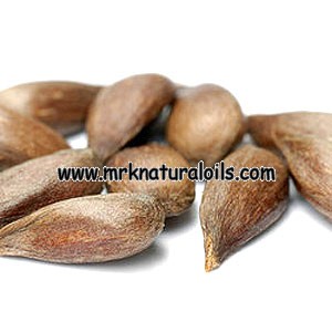 Sugandh Mantri Essential Oil