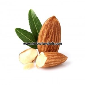Sweet Almond Carrier Oil
