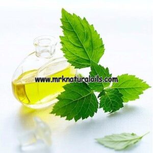 Patchouli Essential Oil