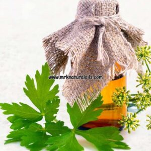 Parsley Seed  Essential Oil