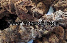 Valerian root 3% Dilution in Jojoba Oil