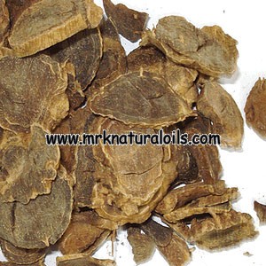 Zedoaria Essential Oil